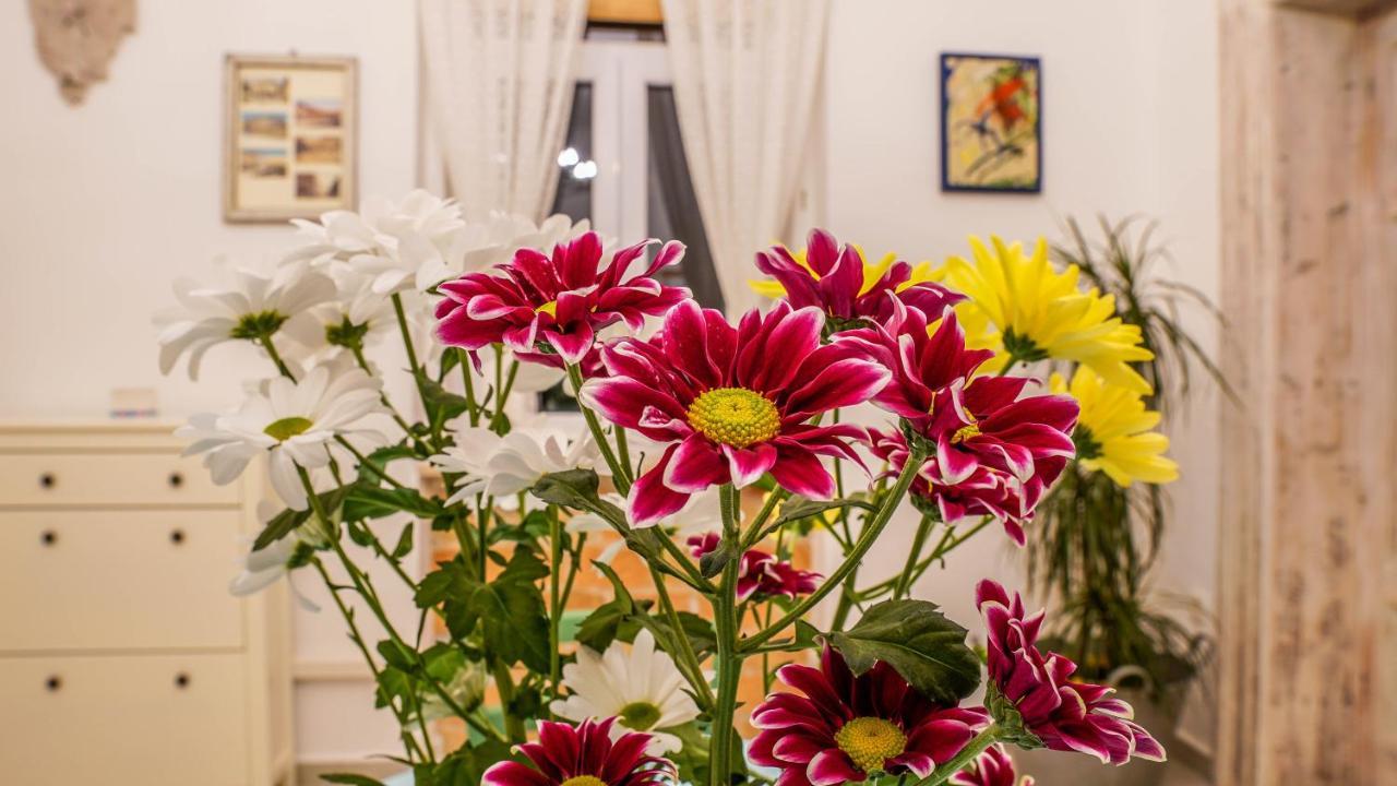 Cote Ensoleille Appartement Pula Buitenkant foto